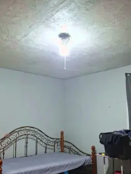 Cam4 Best live sex cam show of honey391