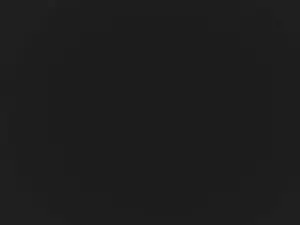 Cam4 Adult Webcams of BIGbbrownn