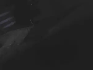 Cam4 Free Live Porn of BIGbbrownn
