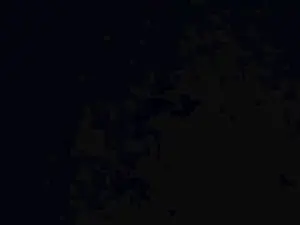 Cam4 Live Porn of Sheul