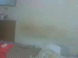 Cam4 Nude Webcam of Tevuelolacabeza