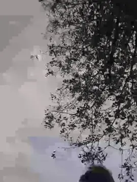 Cam4 Nude Webcam of Cerbero31
