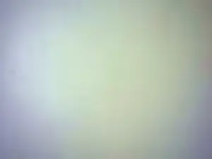 Cam4 Adult Webcam of Detlefshi