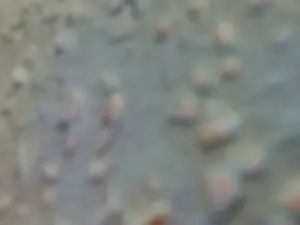 Cam4 Live Sex Cam of cumdock4u