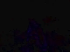 Cam4 Sex Chat of vujade