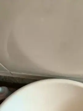 Cam4 Free Porn Cam of Nvinhosfdce