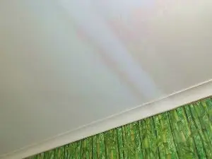 Cam4 Live Sex Cam of mshairys