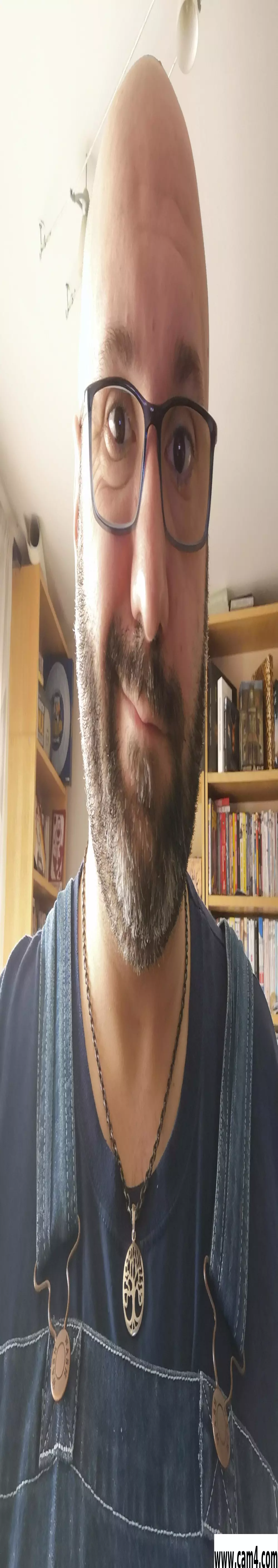 Chubbises