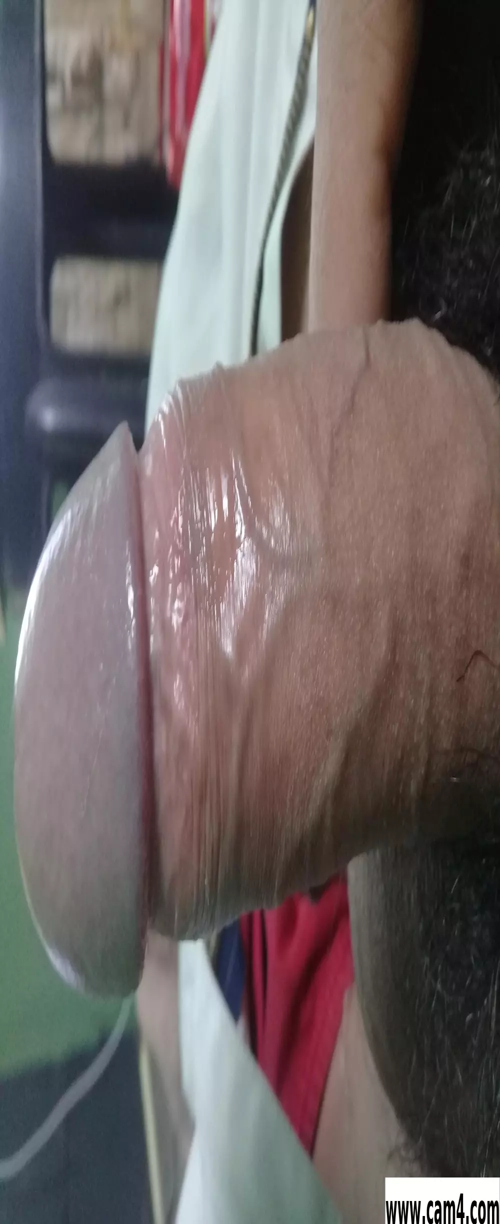 Lechero1233