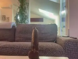 Cam4 Watch Live Sex Cams of extremeanal