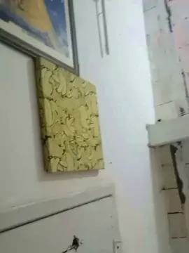 Cam4 Adult Webcam of novdotado22