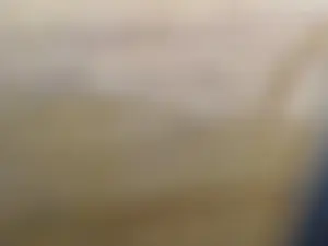 Cam4 Live Porn of foreign_off