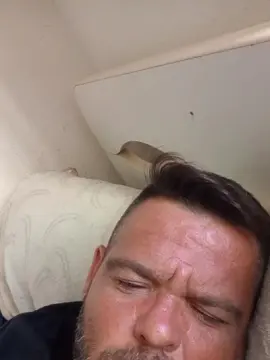 Cam4 Live Sex Cam of Diegoxxl3