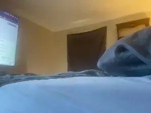 Cam4 Sex Chat of jerk4herxxx