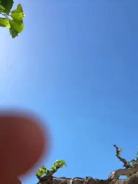 Cam4 Sex Cam of SocraM_Hot