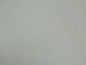 Cam4 Live Porn of Titan_Moreno