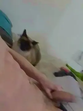 Cam4 Free Live Porn of RyanTwinkhot