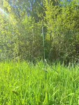 Cam4 Best live sex cam show of frankieme