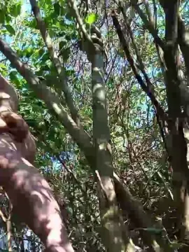Cam4 Private Sex Chat of Vairon_hoot