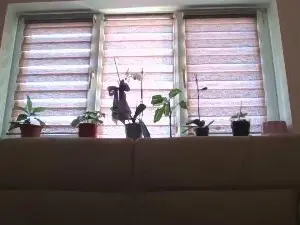 Cam4 Free Porn Cam of have_funnn