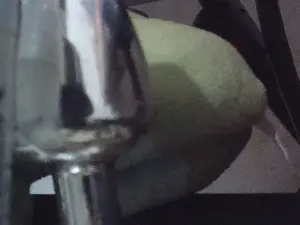 Cam4 Best live sex cam show of wildbrdick