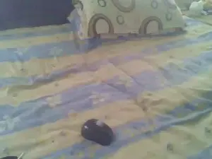 Cam4 Sex Chat of naskicha