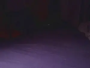 Cam4 Free Live Porn of Deepstatement