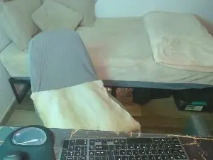 Cam4 Free Porn Cam of Lealboy