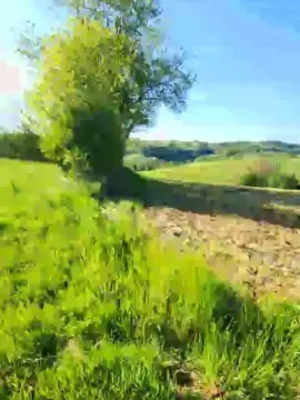 Cam4 Nude Webcam of Legtiste