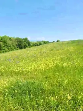 Cam4 Adult Video Chat of Legtiste