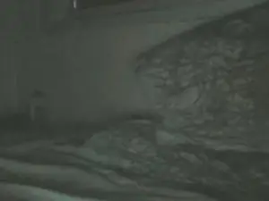 Cam4 Adult Webcam of Leitokss