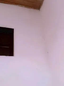 Cam4 Live Porn of Harley6