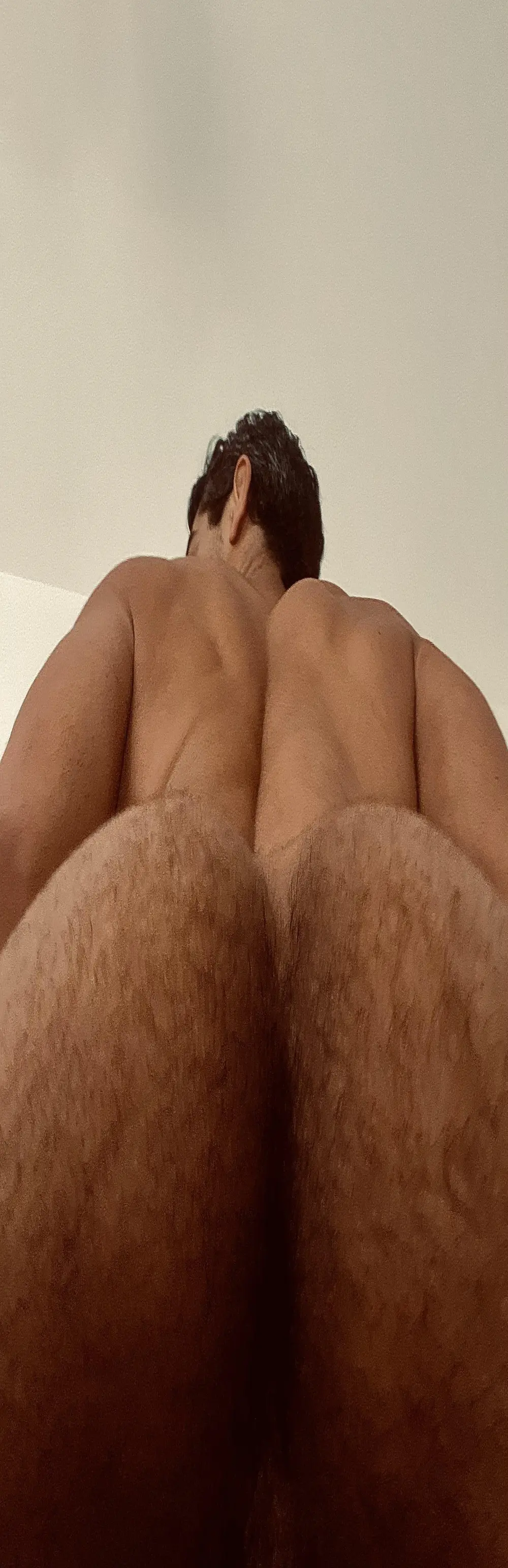 davcam23