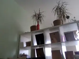 Cam4 Sex Cam of bigcockjohnxxx