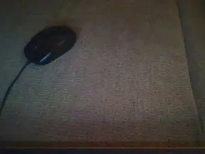 Cam4 Best Webcam of Melonme