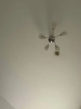 Cam4 Sex Cam of Bichito