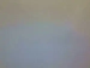 Cam4 Free Porn Cam of serch55