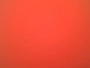 Cam4 Sex Chat of Callipyge