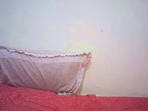 Cam4 Live Sex Cam of Hot_nophy
