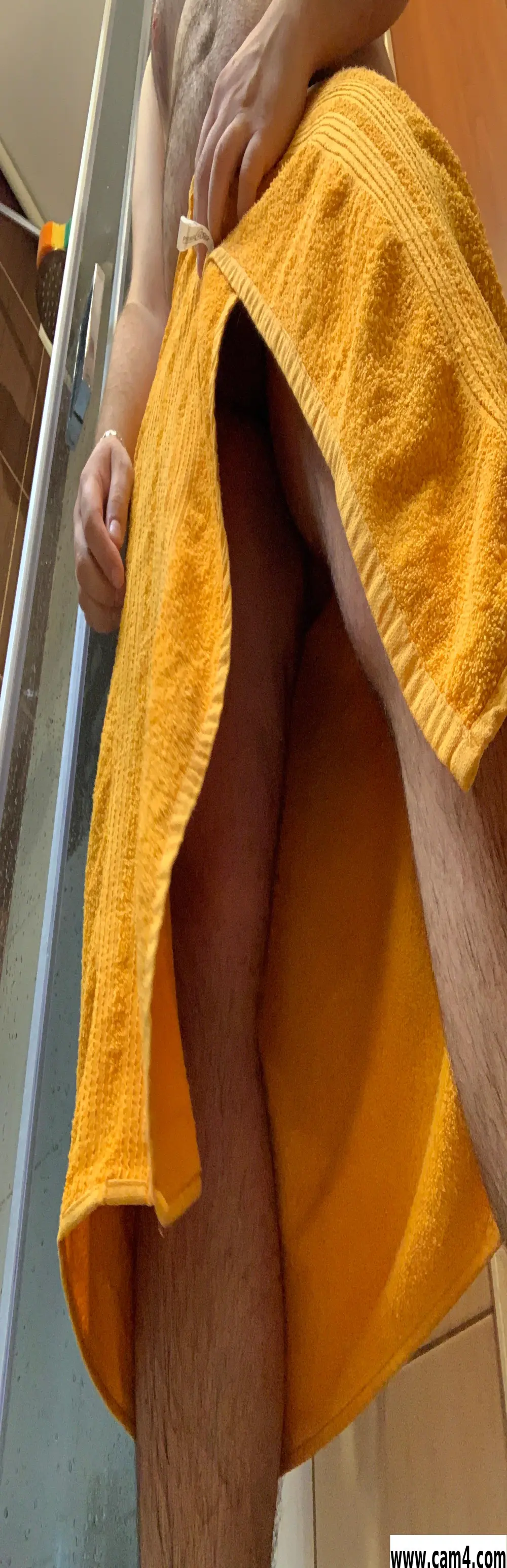 bear_4