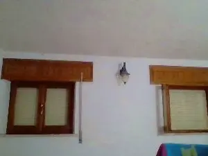 Cam4 Nude Webcam of COBRAHARD