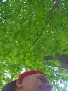 Cam4 Live Sex of axelblows