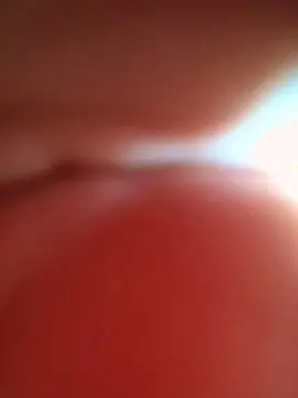 Cam4 Free Live Porn of Fenixxx