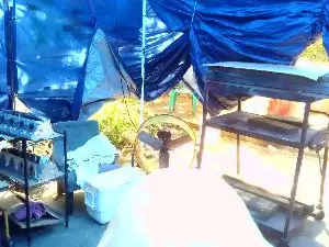 Cam4 Live Sex of Get_jiggy69