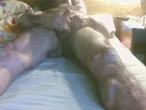 Cam4 Adult Video Chat of john_doe_cjxxx