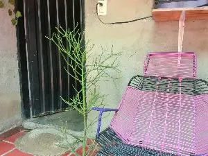 Cam4 Sex Cam of CamiLatinAss