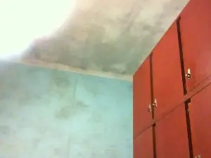 Cam4 Free Porn Cam of napo7431