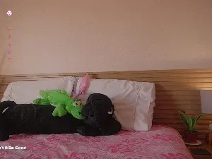 Cam4 Live Sex of Kate_Danswet