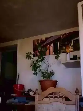 Cam4 Free Live Porn of Tannileinchen3