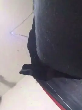 Cam4 Live Sex Cam of BaeMe